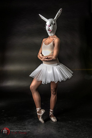 Dancing rabbit
